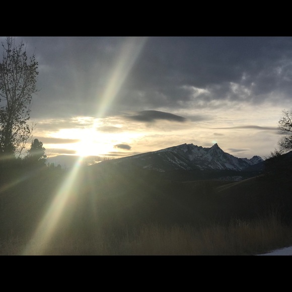 Meet your Posher, Ann - Picture 4 of 8